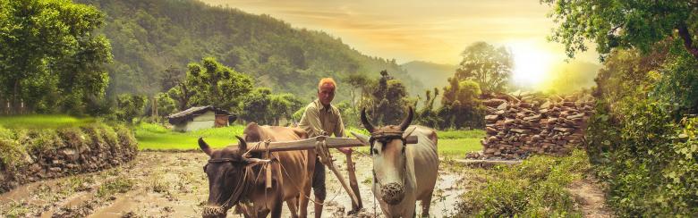 Seshia Galvin_Farming of Trust