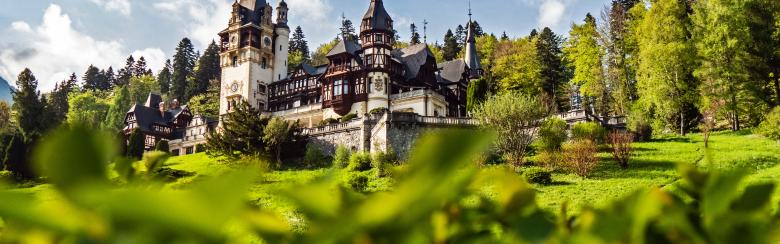 romania alumni
