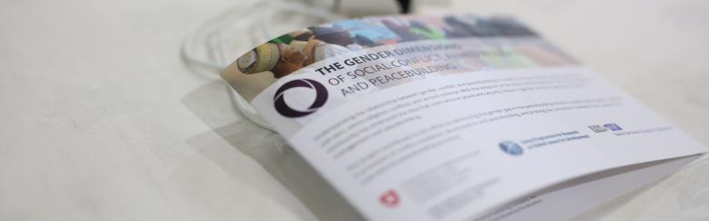 Gender Dimensions of Social Conflict, Armed Violence and Peacebuilding
