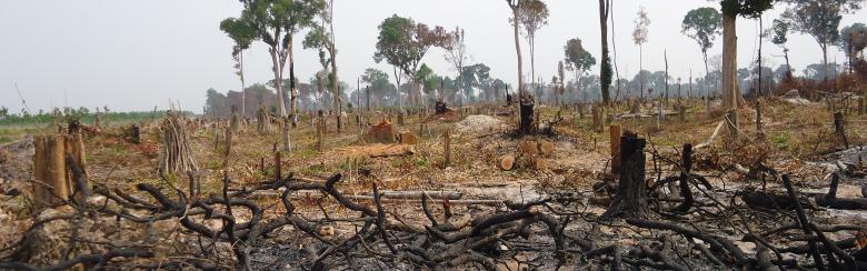 Land commercialisation in Kampong Thum, Cambodia