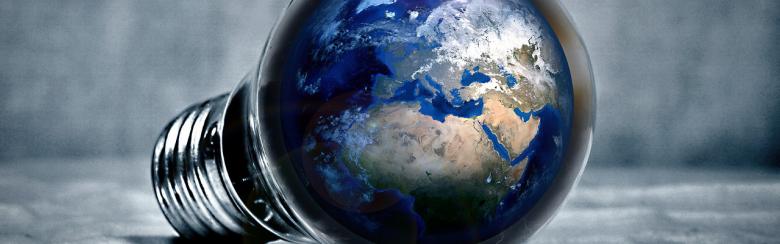 Pauwelyn_Building Capacity in International Economic Law
