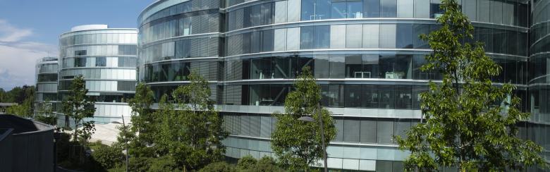 maison de la paix forster news