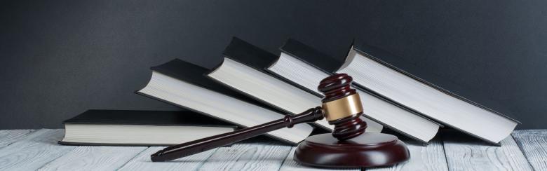 law gavel books crop