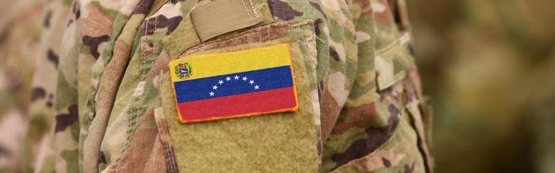 venezuela army flag