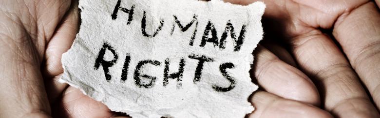 Oana Ichim human rights