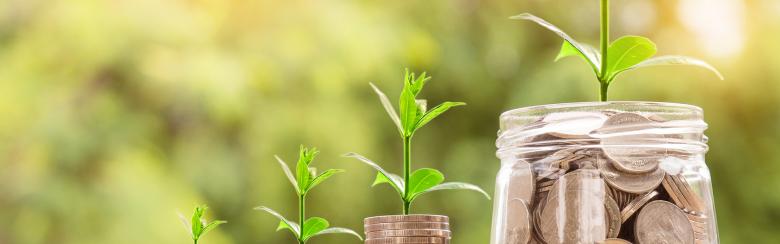environmental and economic policy