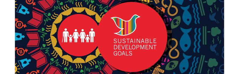 Sustainable Development Goals icon