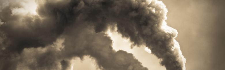 climate change action