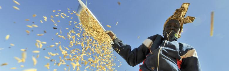 woman in field crops timothy swanson article globe 24