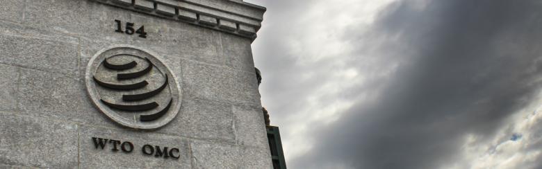 How the WTO dispute settlement system could settle its own tensions