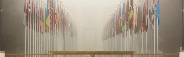 The Future of International Organisations