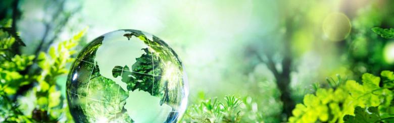 Transparent global in nature