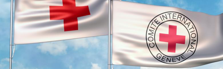 Masters of disorder? ICRC delegates between utopia and bureaucracy