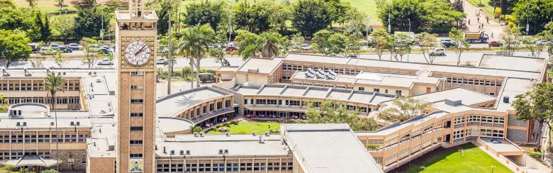 Is Limited Capacity an Obstacle to the Success of Industrial Policies in Africa?