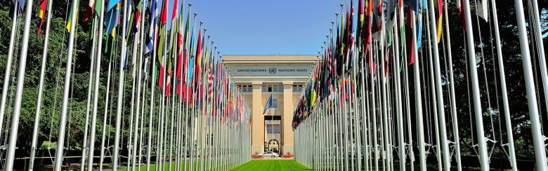 Flags and UN headquarters in Geneva
