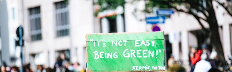 Demonstration sign that reads "It's not easy being green"