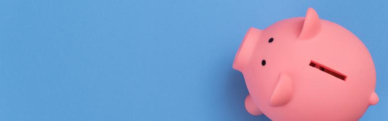 Budget et égalité de genre : entre nerf de la guerre et guerre des nerfs