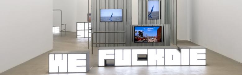  Excerpt from Hito Steyerl’s installation “Hell Yeah We Fuck Die”