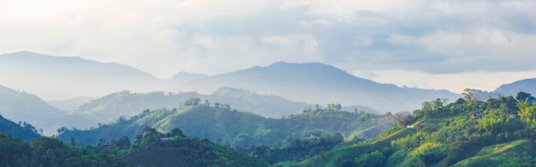 Coffee area landscape in Colombia.
