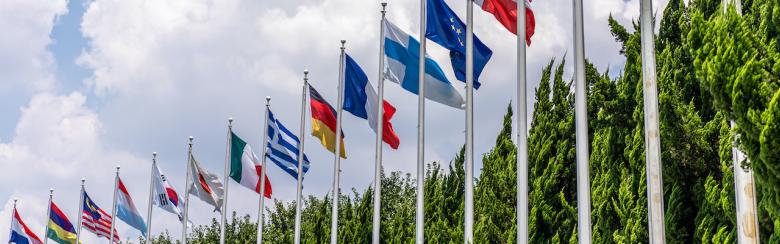 Many flags with blue sky.