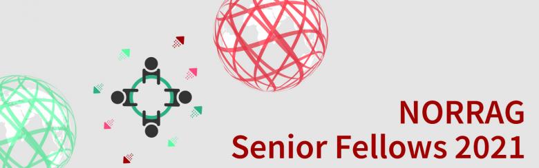 NORRAG Senior Fellowship