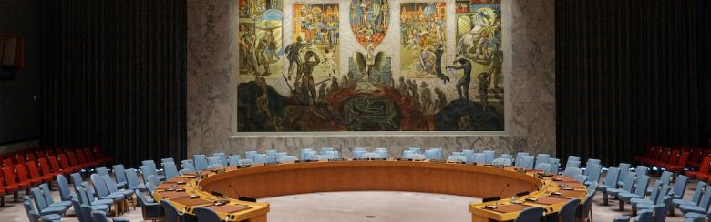 United Nations Security Council in New York City.