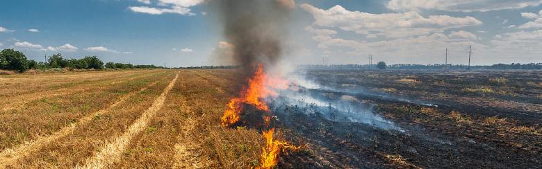 Burning straw in a field.