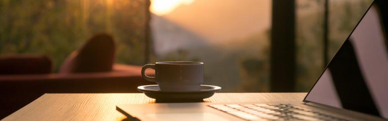 Alina Poliakova shares her virtual exchange experience from Bocconi University in Milan.