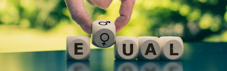 Claire Somerville, Executive Director of the Gender Centre and Lecturer at the Graduate Institute, is participating in the Equals-EU project, which seeks to promote gender equality in social innovation and the digital world. 