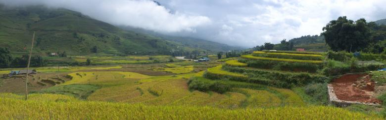 Rice Terraces in Sa Pa, Vietnam