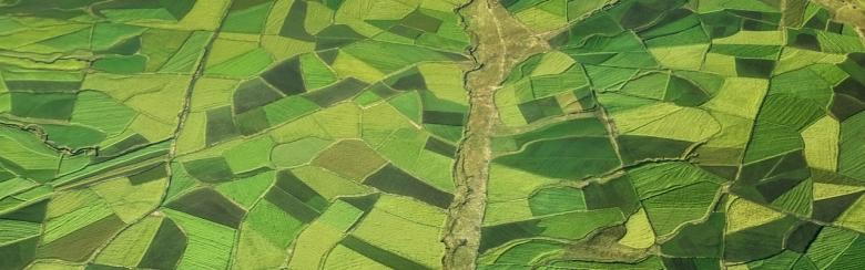 Fertile agricultural landscape, Ethiopia.