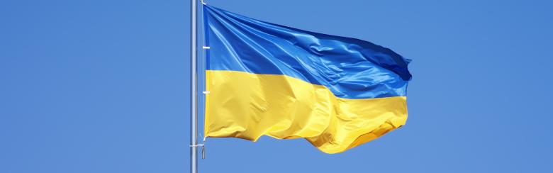 Ukraine Flag