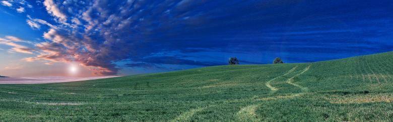 Farmland