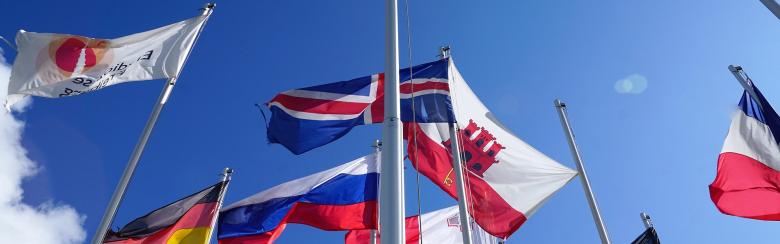 Partnerships for sustainability