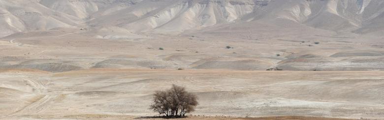 Jordan Valley, West Bank