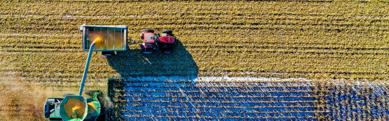 Farming 