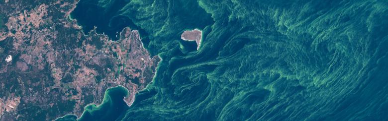 Satellite image of algae bloom around Gotland, Sweden.