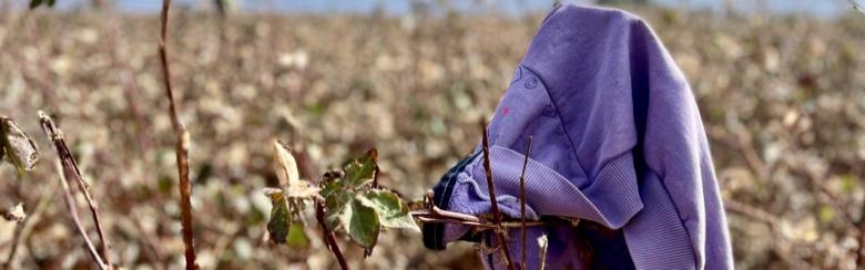 Sweater of a school-aged girl who is accompanying her mother to the field during the 2022 cotton harvest