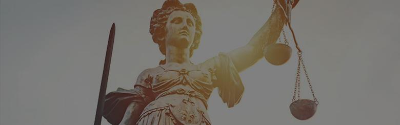 LL.M. in International Law