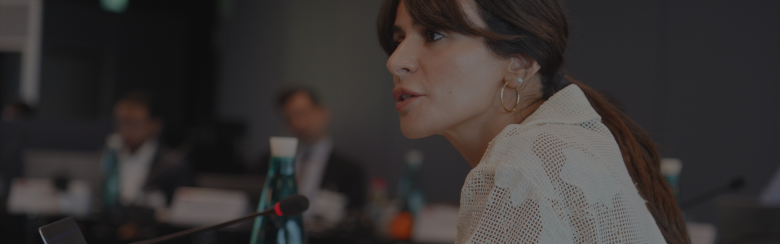 Executive Master in International Relations
