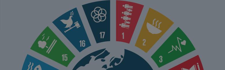 SDG Investing