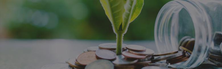 Sustainable Finance and Development