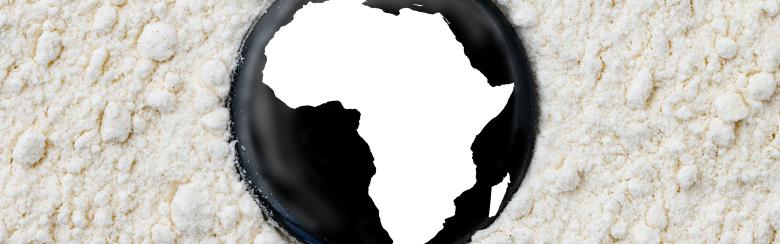 une approche dialectique qui valorise les vision et contribution d’une Afrique plurielle à la fabrique de notre futur pluriversel est plus que jamais nécessaire. 