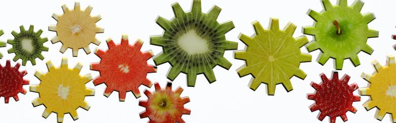Gears made of fruit slices on white background.