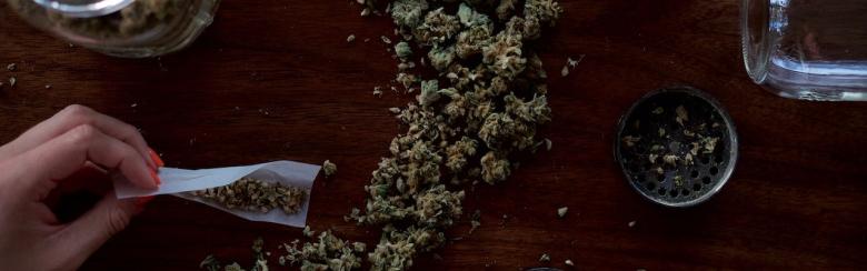 Main tenant un papier à rouler au-dessus de cannabis