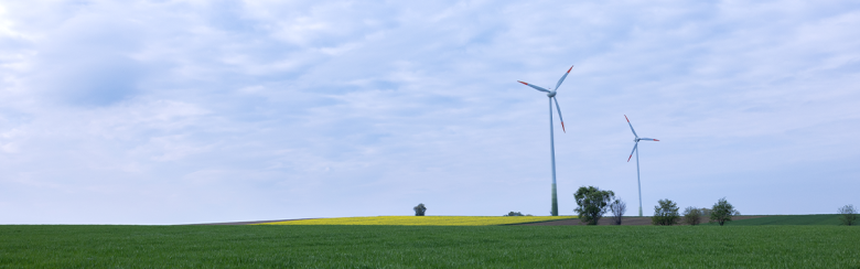 Towards a new social contract of sustainable development for future generations