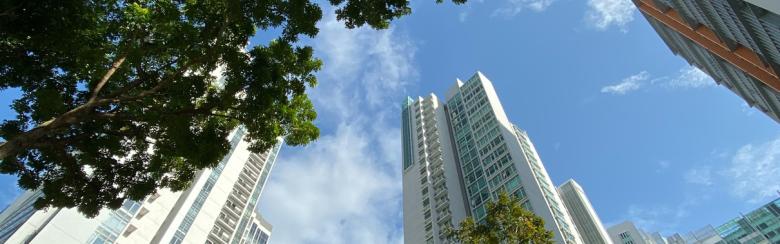 Urban Biodiversity Governance