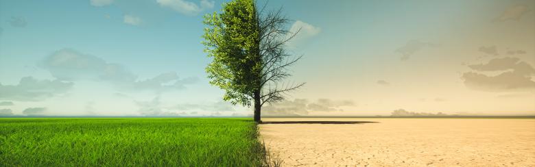 Climate Mitigation Policies