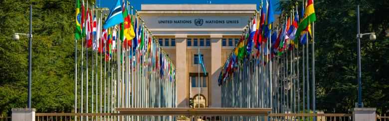 From “Using” to “Doing” Intersectionality at the UN: Zooming in on Special Procedures