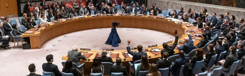 UN Security Council members